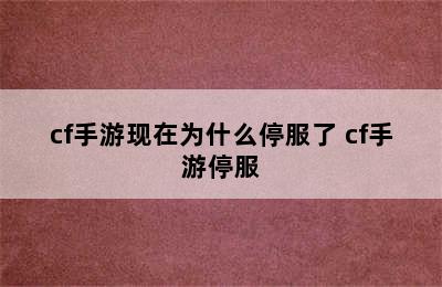 cf手游现在为什么停服了 cf手游停服